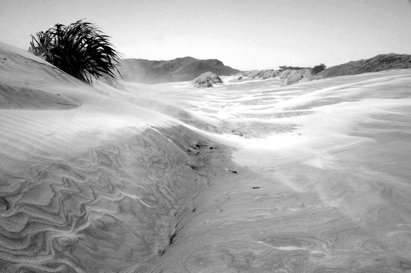 B&W sand texures.jpg