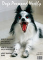 Dog's Possessed Weekly