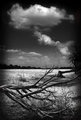 Earth and Sky