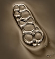 Xenotosis