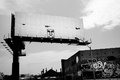 _MG_0146