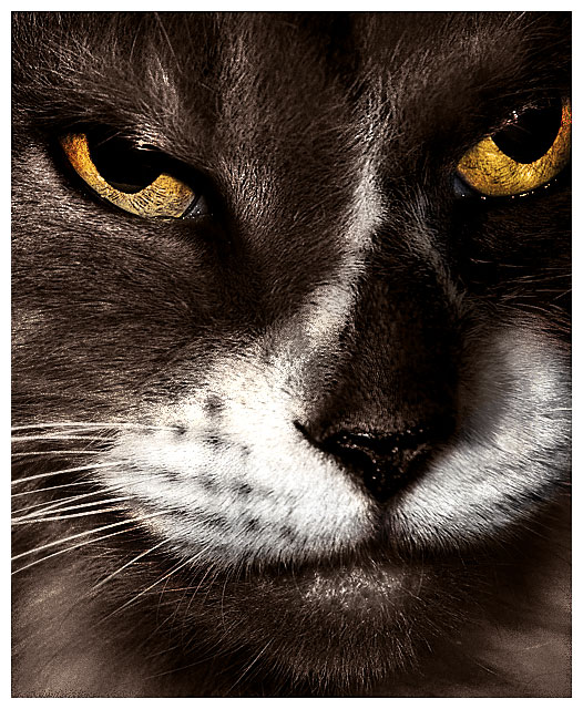 Intense