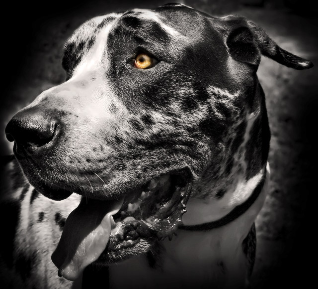 Sam