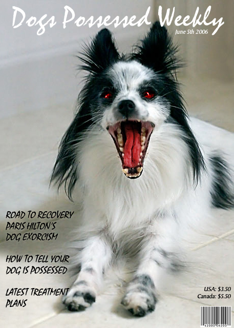 Dog's Possessed Weekly