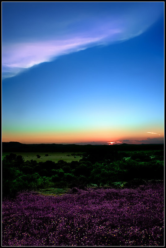 Hill Country Sunset