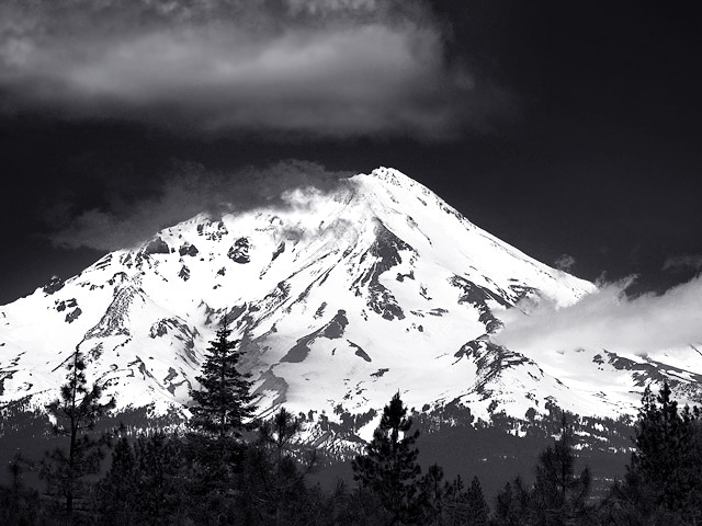 anmldoc-shasta.jpg