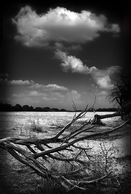 Earth and Sky