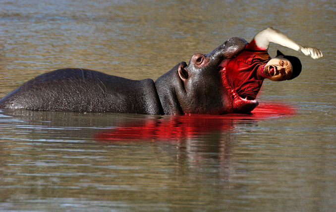 Hippo Hunter starring Art