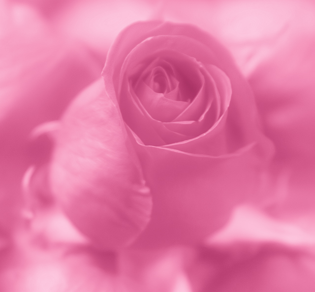 Pretty in Pink