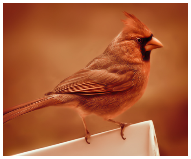 Cardinal