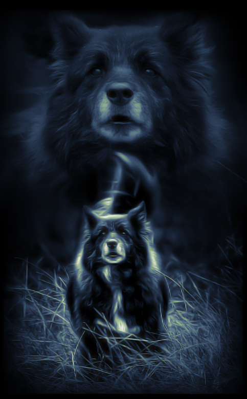 watchdog