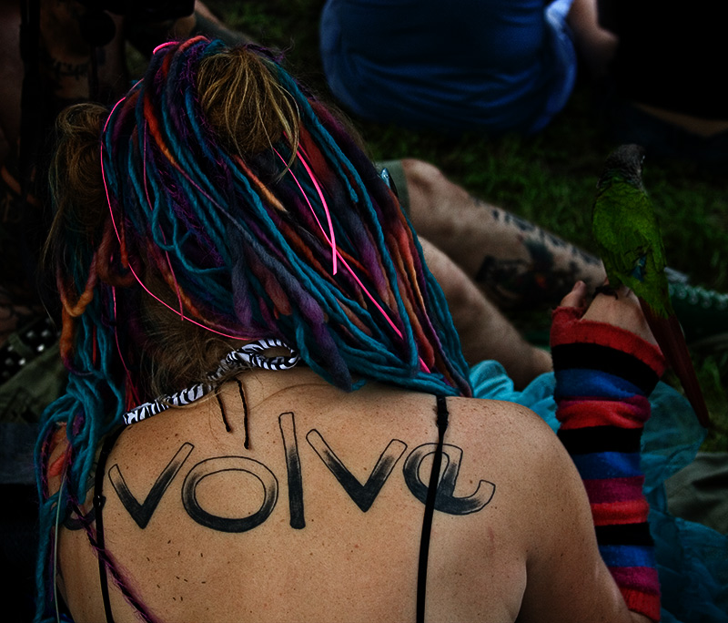 evolve