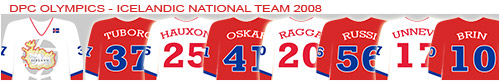 iceland_banner_sm.jpg