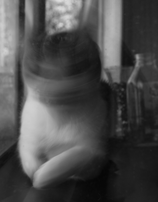 pixie blur