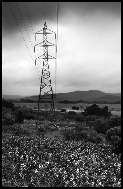 hill country