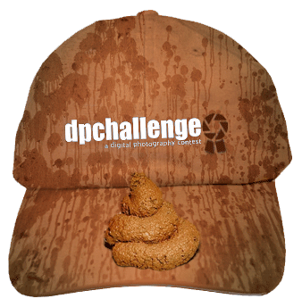 New Hat: The Brownie