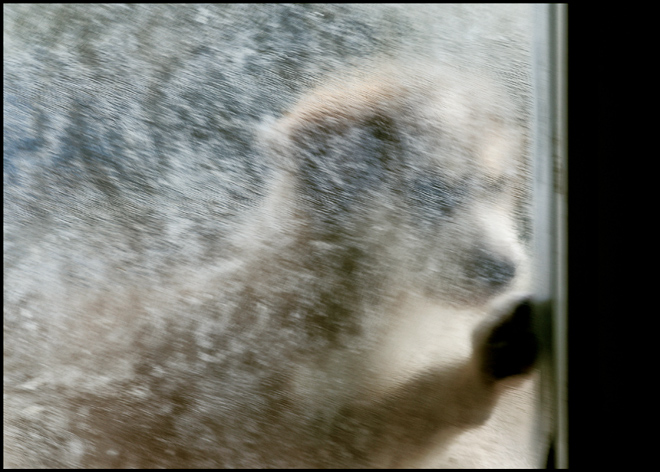 Let me in