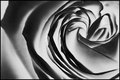 negative9.jpg