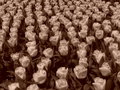 sepia tulips.jpg