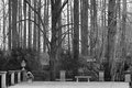 lady on bench.jpg
