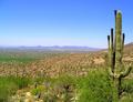 Tucson Valley