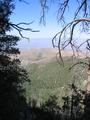 View from Lemon