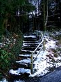 Pathway