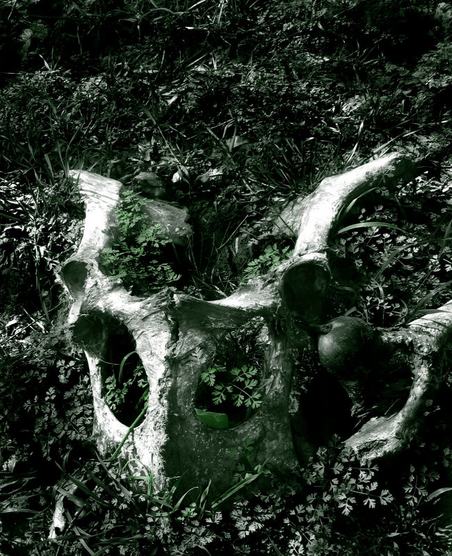 Life from Death