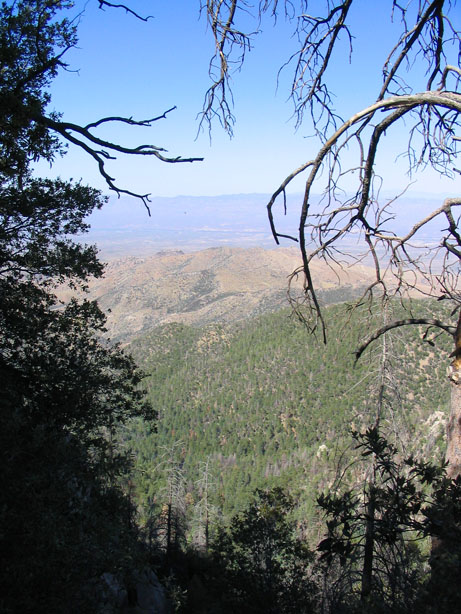 View from Lemon