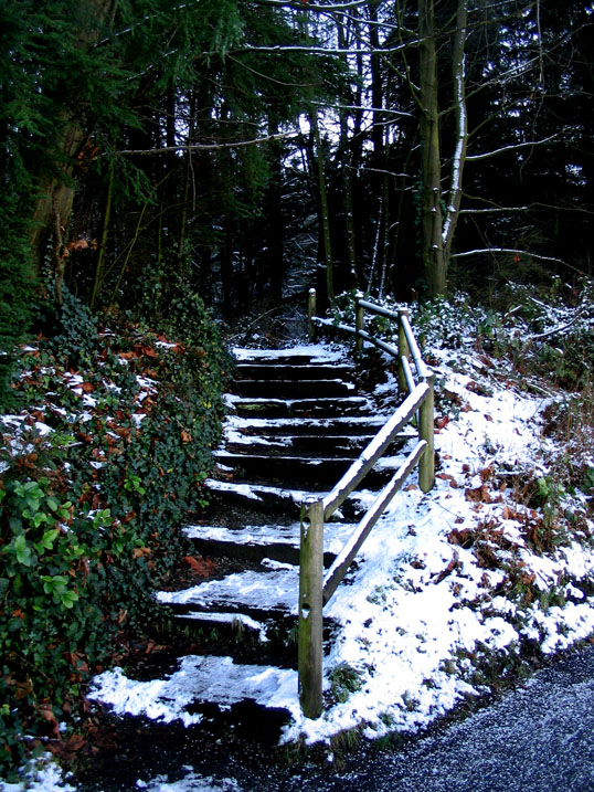 Pathway