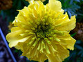 P1010580.jpg