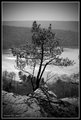 Solitude
