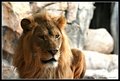 His Royal Majesty