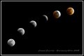 Lunar Eclipseweb.jpg