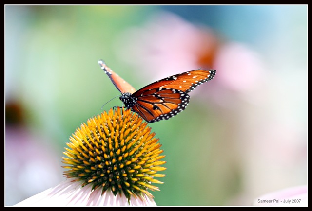 IMG_2991small.jpg