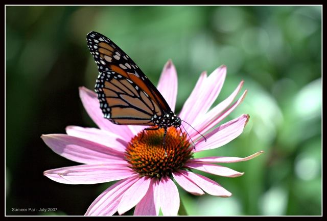 IMG_3028small.jpg