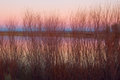 Pond at Sunset
