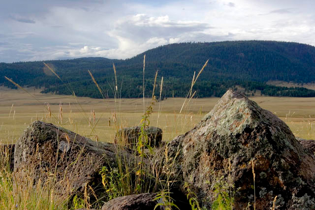 Rocks of the Valle Grande