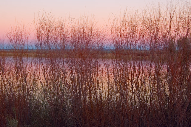 Pond at Sunset
