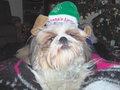 Ho, Ho, Ho, Ya'll