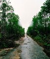 Road