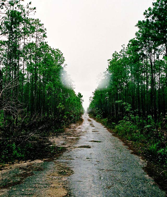 Road