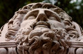 StoneFacedDPC.jpg