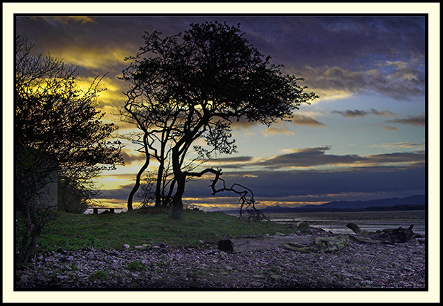 Sunset On The Forth