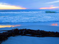 seaweed at sunset