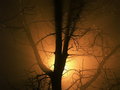 Ghost Story
