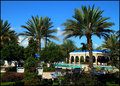Sunny Orlando