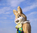 The Easter Bunny