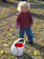 so many eggs
