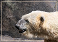 day at the zoo